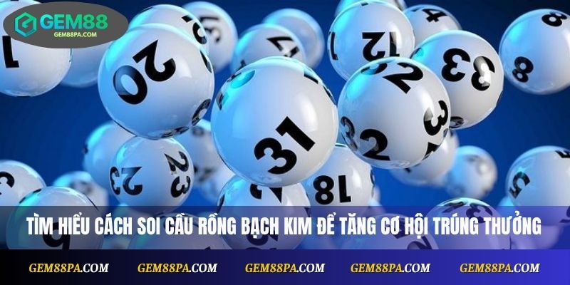 Soi Cầu Rồng Bạch Kim